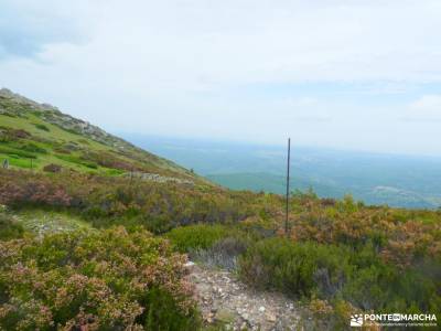 Pico del Lobo - Sierra de Ayllón; cinta mochila federacion de escalada cabra fotos mochilas montaña 